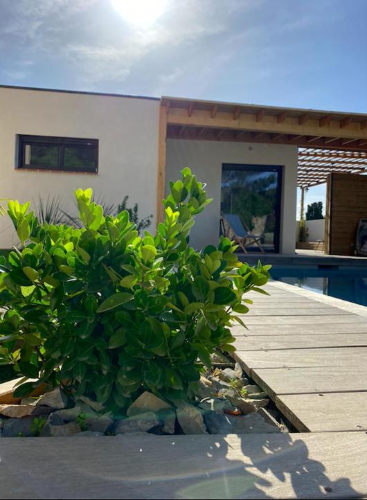 Bed and Breakfast Le Pool House Нім Екстер'єр фото